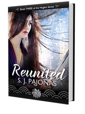book_3d_covers_reunited_170